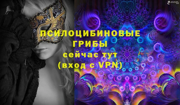 таблы Алексеевка