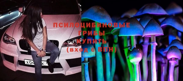 круглые Алзамай