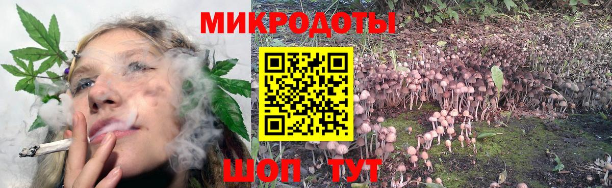 Псилоцибиновые грибы Cubensis Бирск