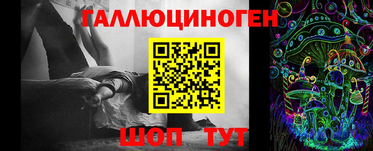 как найти   Псилоцибиновые грибы мицелий  Бирск  Вход с VPN  Псилоцибиновые грибы Psilocybe 